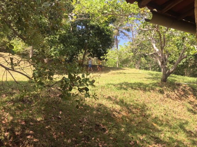 Vendo sítio pojuca ( pode financiar!) - Foto 17