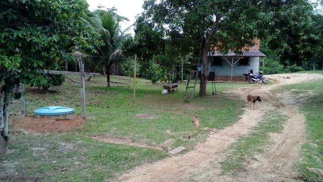 Vendo ou troco chacara - Foto 2