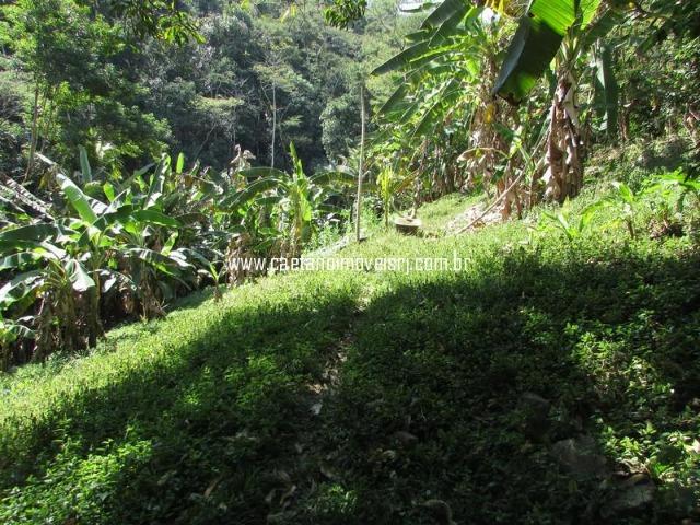 Caetano Imóveis - Sítio para quem ama a natureza! (rico em água e muito verde!) - Foto 16