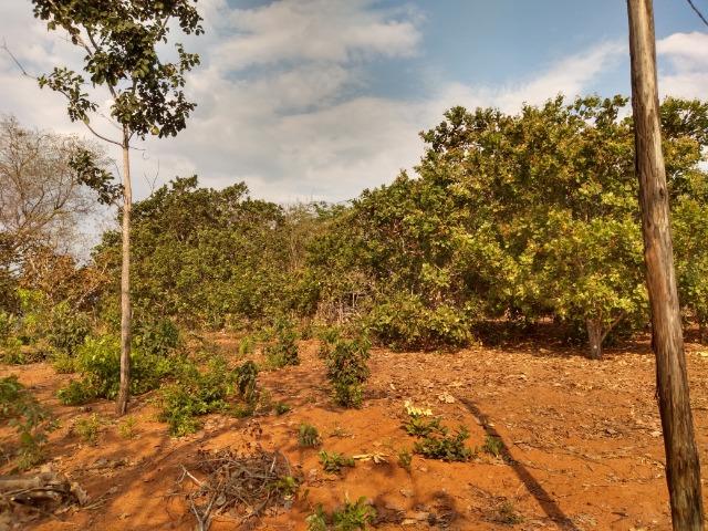 Chácara a Venda - Chapada dos Guimarães ? 10.000m² - Foto 8