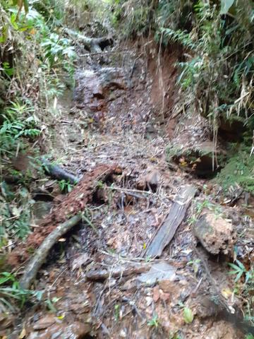 Mini chácara em Bocaiúva do sul 2.800mt