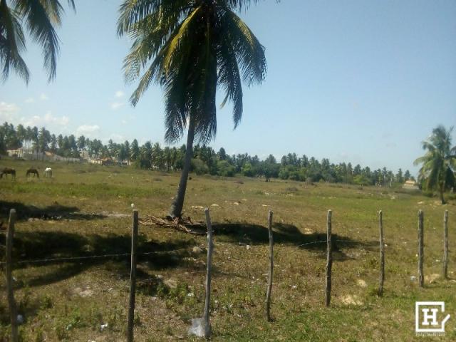 SÍTIO À VENDA - Areia Branca (Zona de Expansão) - Foto 4