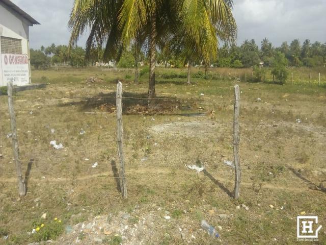 SÍTIO À VENDA - Areia Branca (Zona de Expansão) - Foto 5