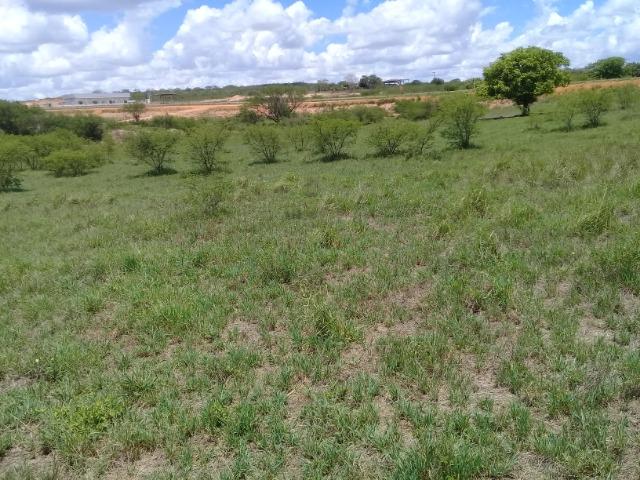 Excelente área de terra às margens da BR 116, com 614.196m - Foto 12
