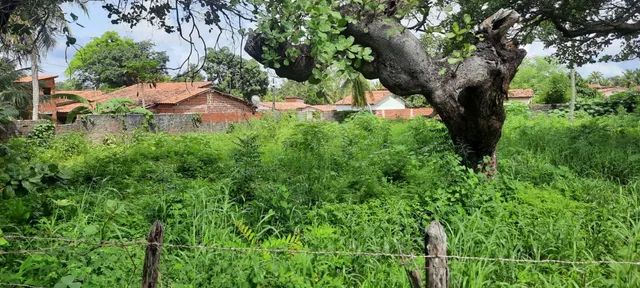 Oportunidade única Cascavel - Raridade - Foto 4