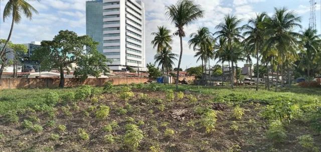 Área com 3000m² na Gruta de Lourdes