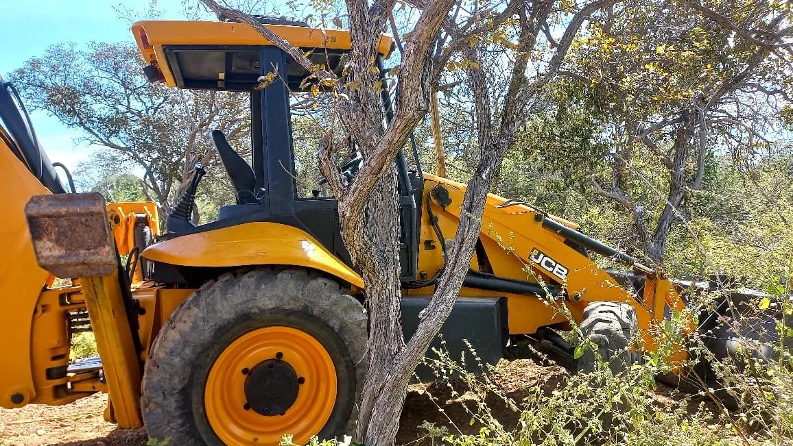 jcb ano 2011 - Foto 3