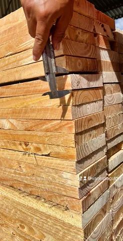 Madeira de pinus em geral 