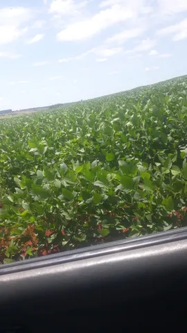 Córrego Dantas - Fazenda 203 HA - R$13.000.000,00