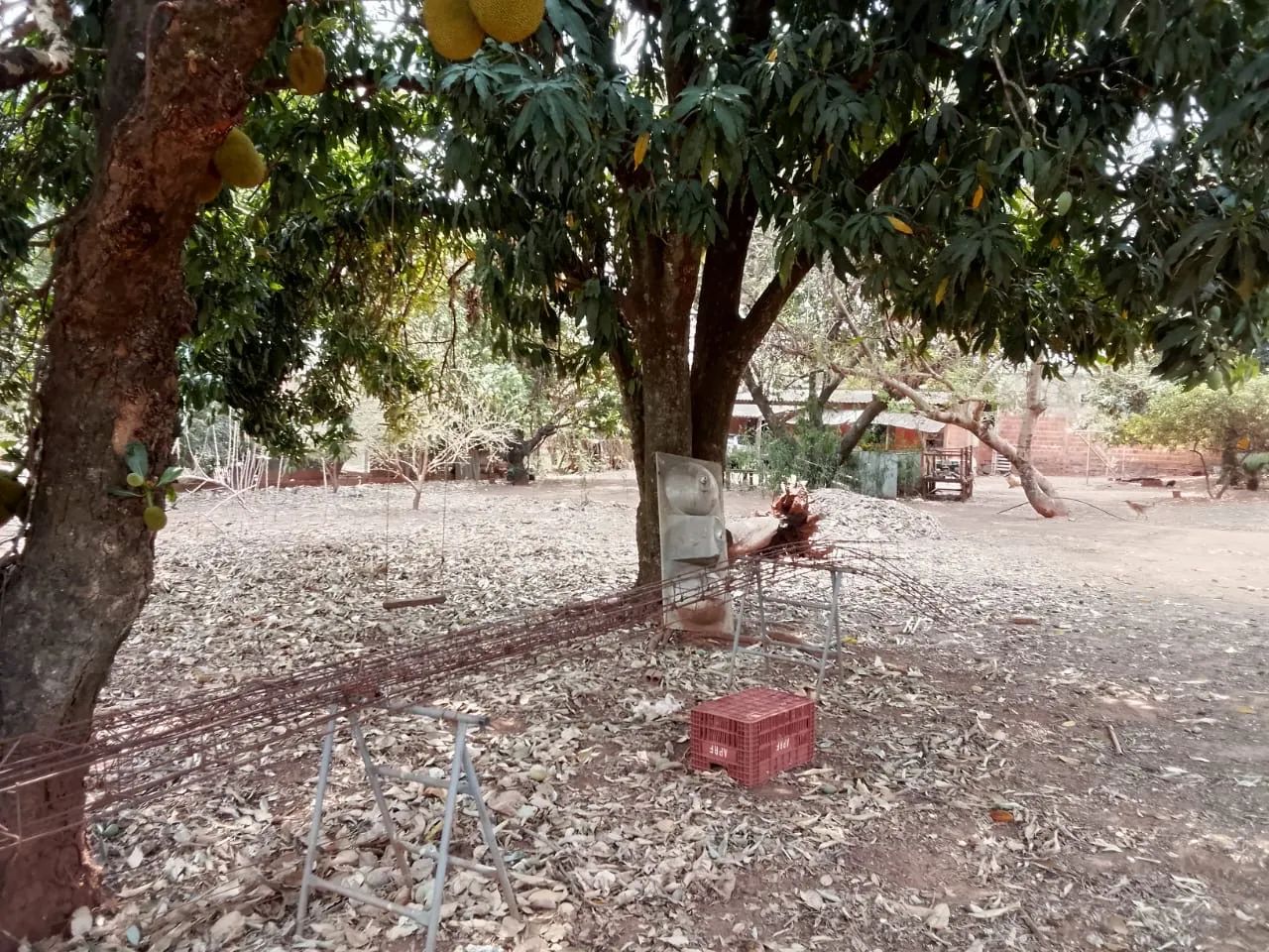 foto - São José do Rio Preto - Estância Santa Clara (Zona Rural)