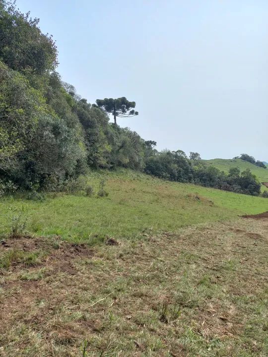 Chácara Faz. Ilhéus 2,0 Ha - Foto 4