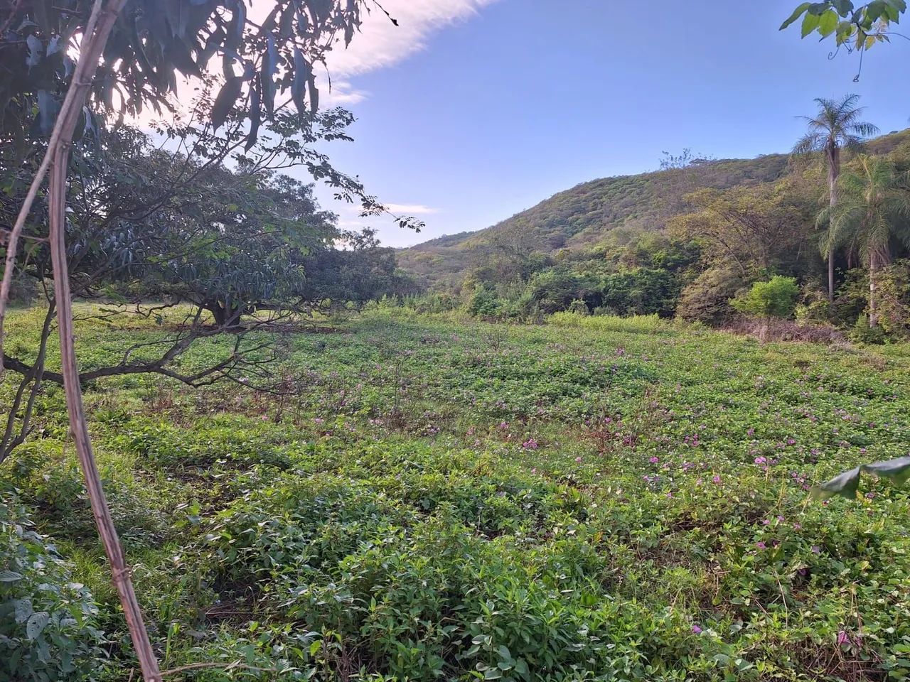 Fazenda Patarabia a venda - Foto 3