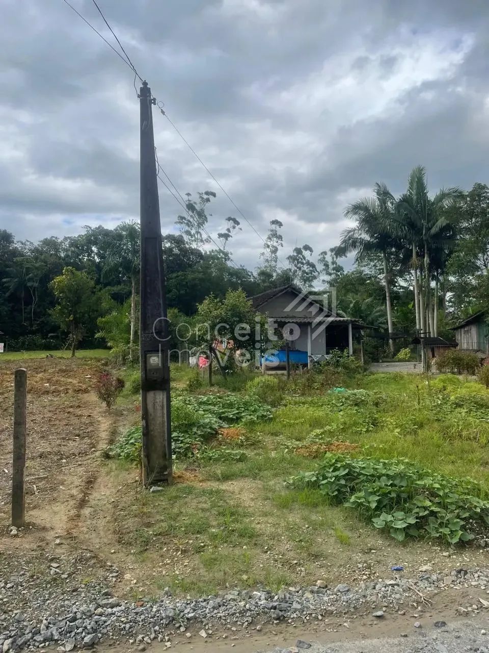 Casa com amplo terreno - Rio Bonito - Joinville/SC 1.045m² - Foto 3