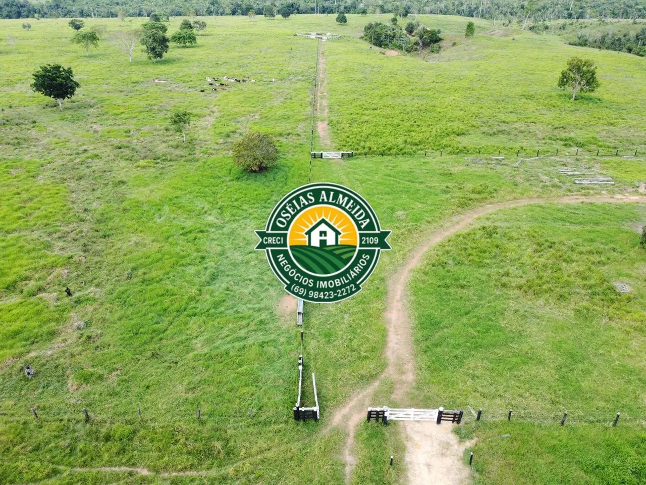 134 Hectares pronta para pecuária  - Foto 5