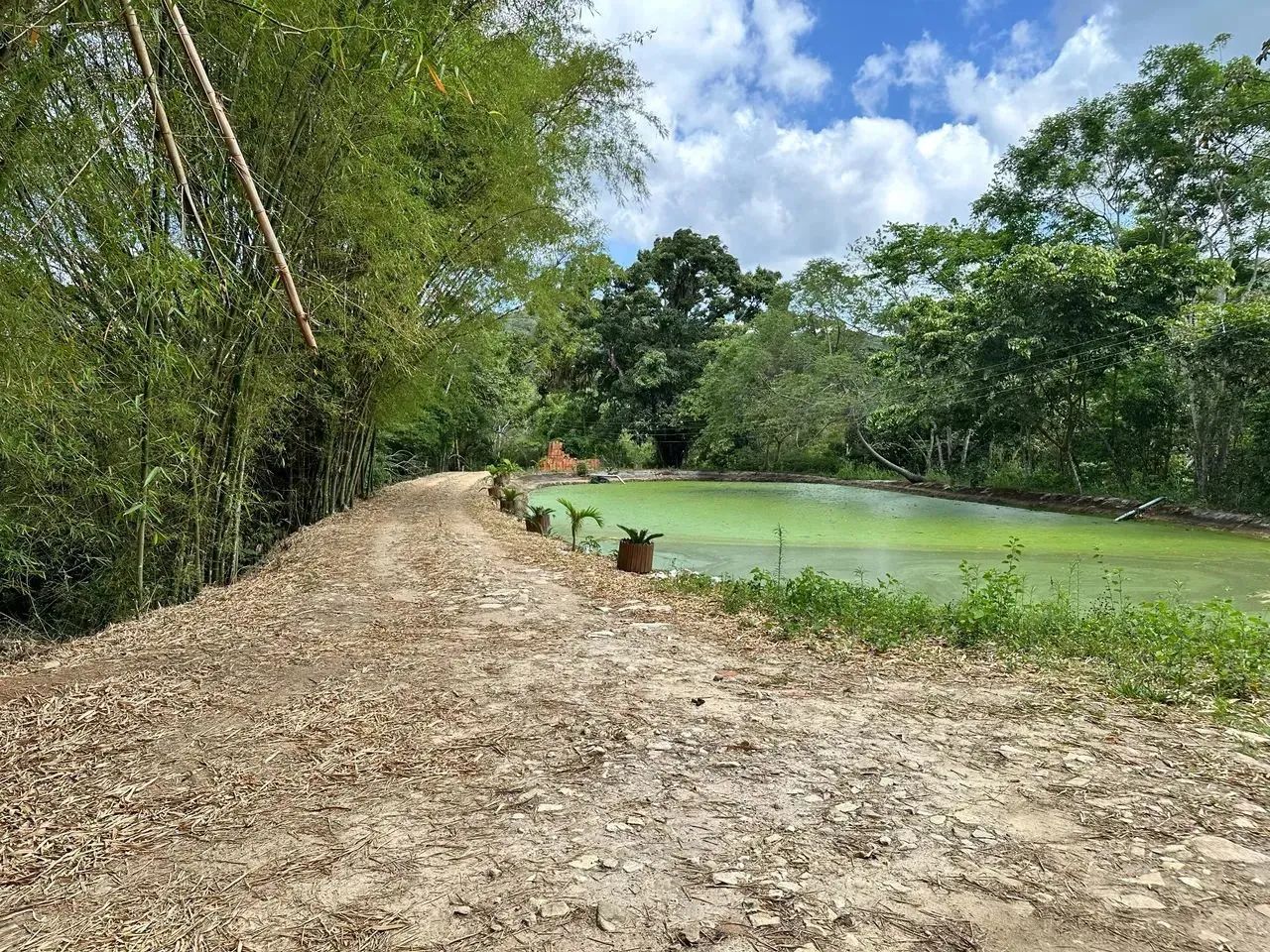 Imóvel para venda com 300 metros quadrados em Centro - Pacoti - CE - Foto 6
