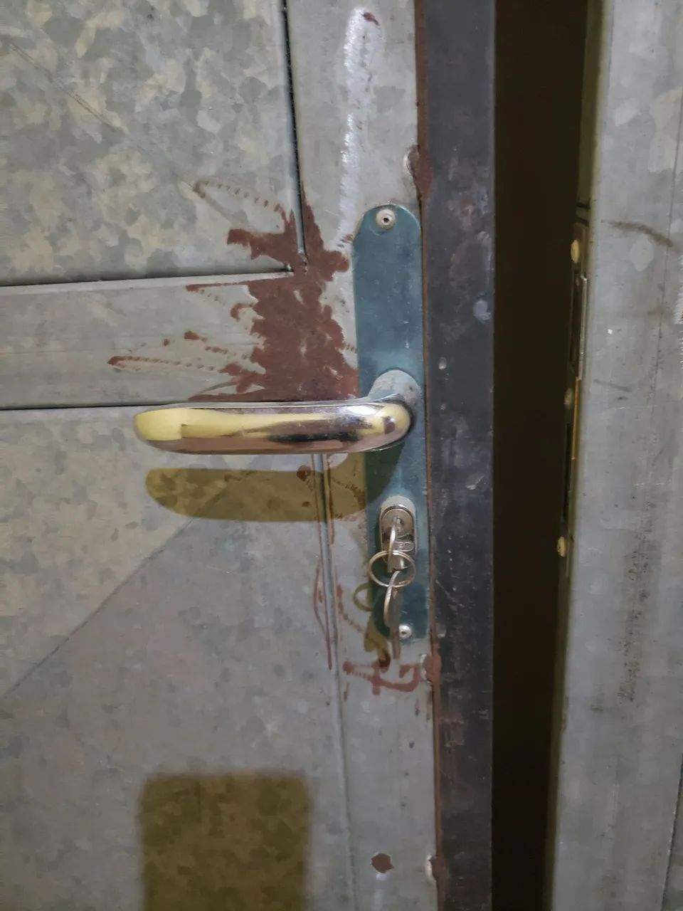 Dois portões de chapa galvanizada  - Foto 5