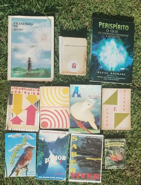 Livros Espíritas em ótimo estado!