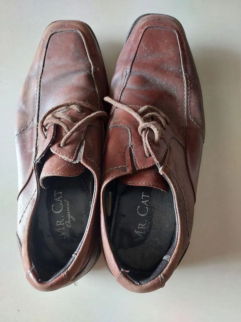 Sapatenis Masculino Sapataria Mr Cat Sapato Marrom Cat Sapatos