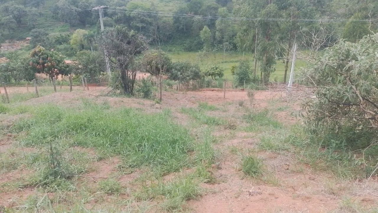 Foto - Lagoinha - 