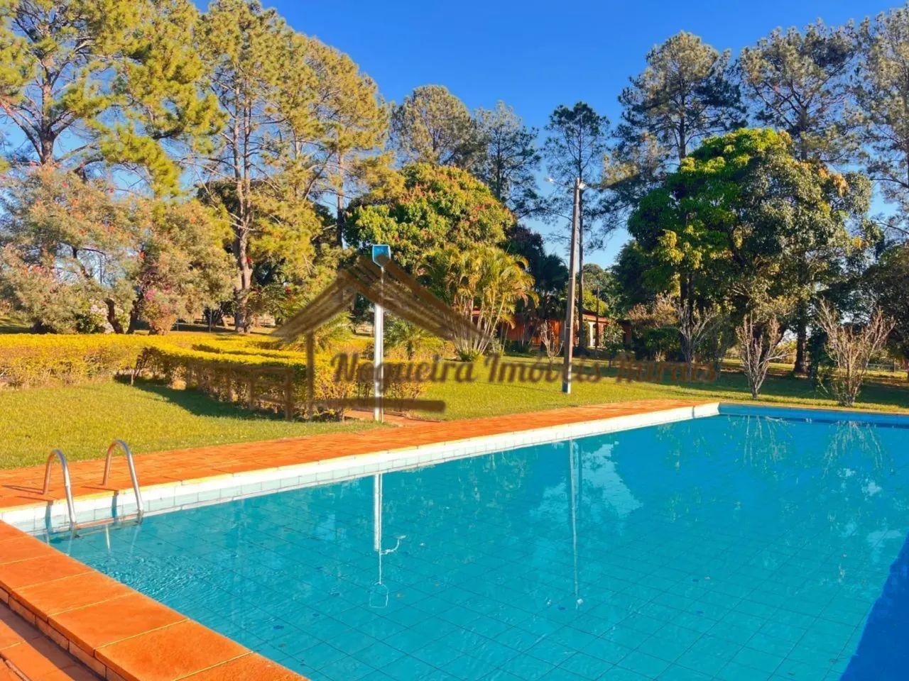 Sítio com 9,5 alqueires em Avaré-SP - Foto 7