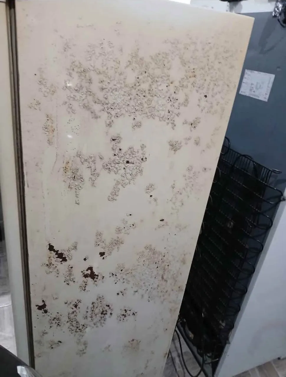 Geladeira com detalhes Cônsul CRB36ABANA