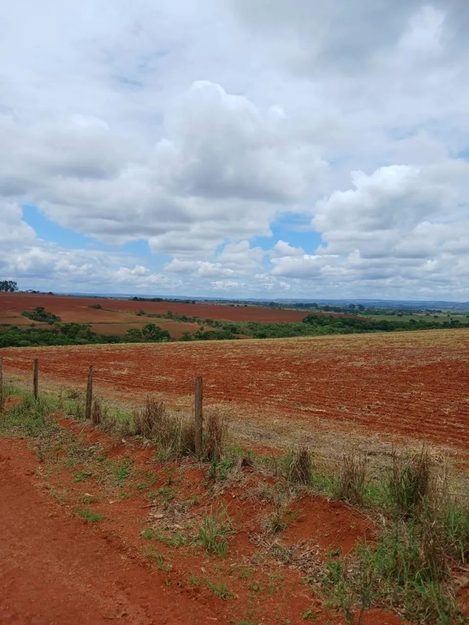 Fazenda de café a venda  - Foto 4