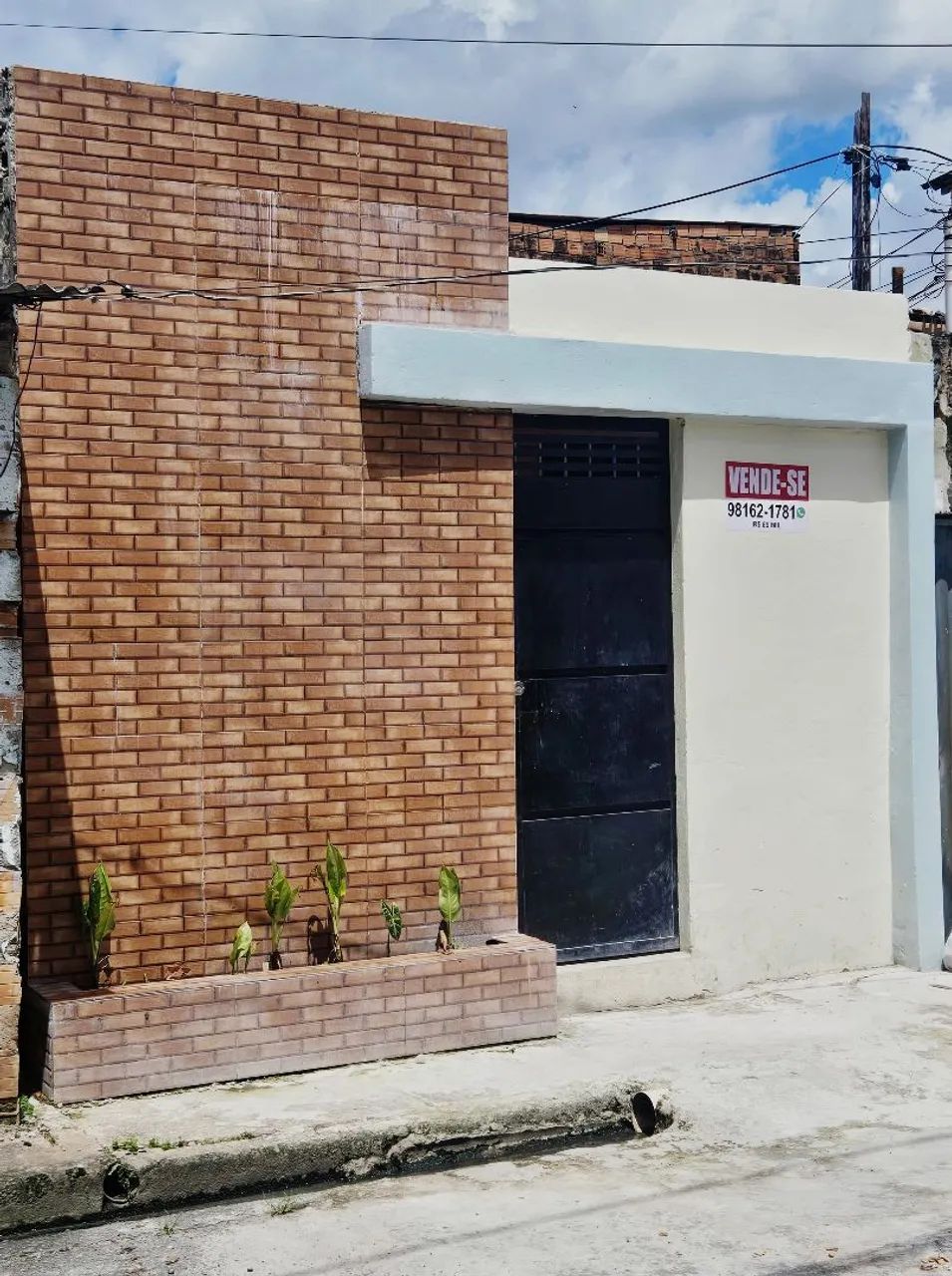 Foto - Belém - Mangueirão