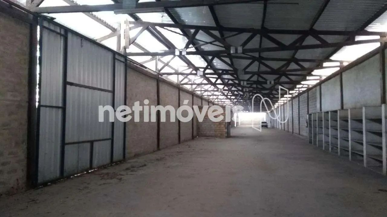 Locação Lote-Área-Terreno Centro Contagem - Foto 4