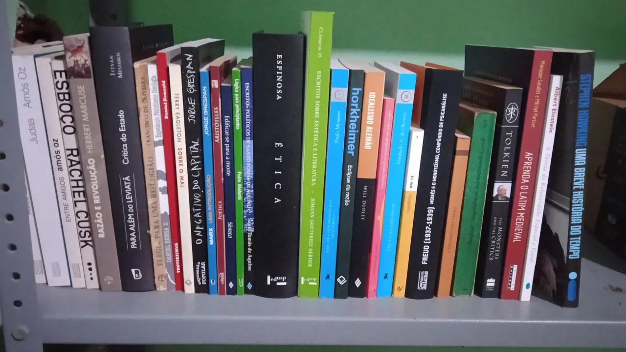 MAIS DE 40 LIVROS POR ATÉ R$ 65,00 CADA (HISTÓRIA, FILOSOFIA, LITERATURA, POLÍTICA)