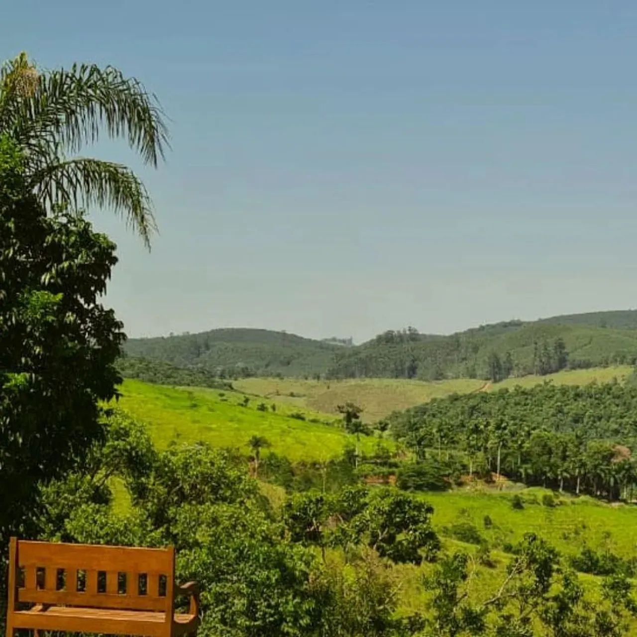 Lotes em condomínio com trilha, lago e bosque preservado - Foto 2