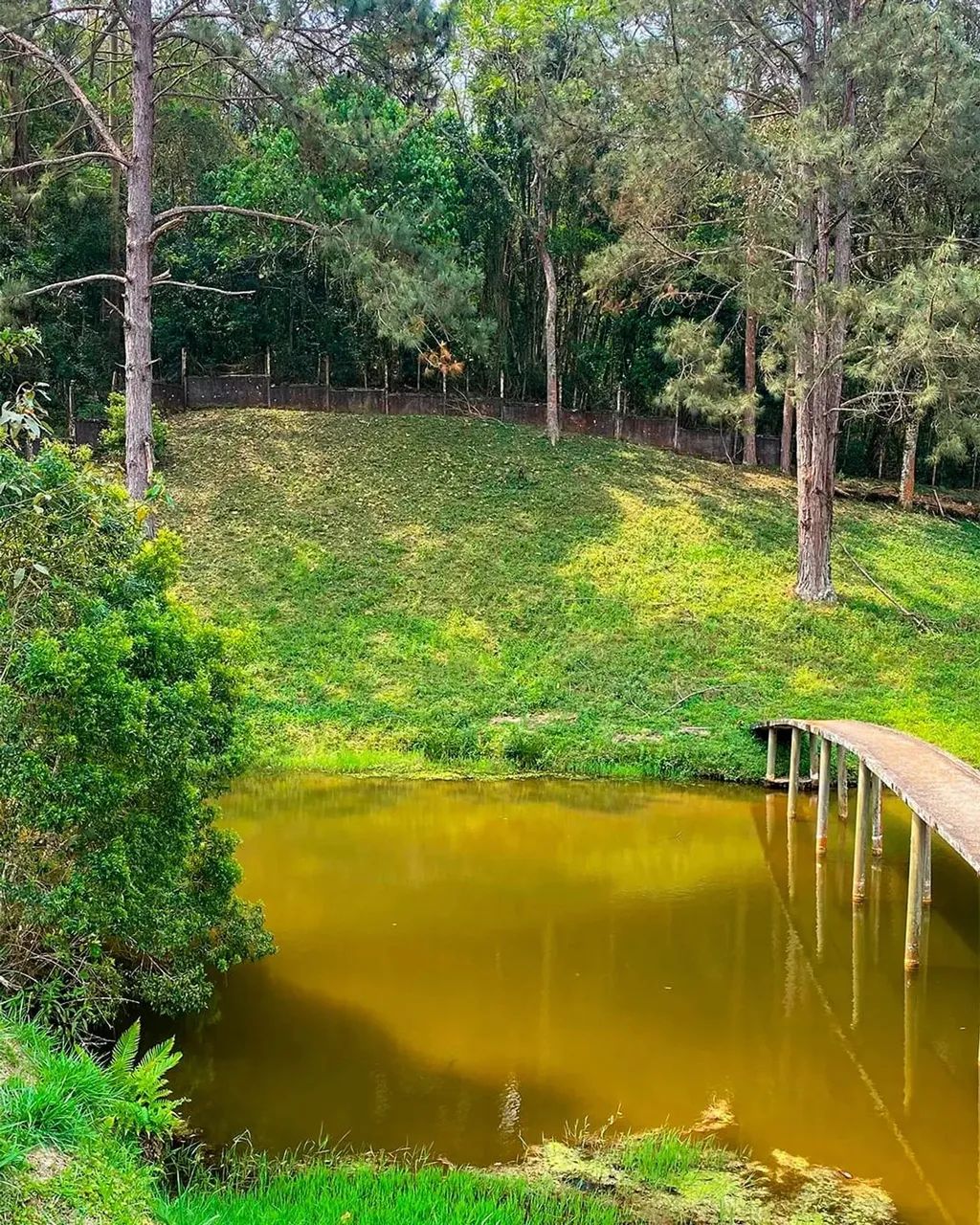 LOTE PRONTO PARA CONSTRUÇÃO DE CHALÉS! Lote de 1.500m² em Ibiúna - SP - Foto 2
