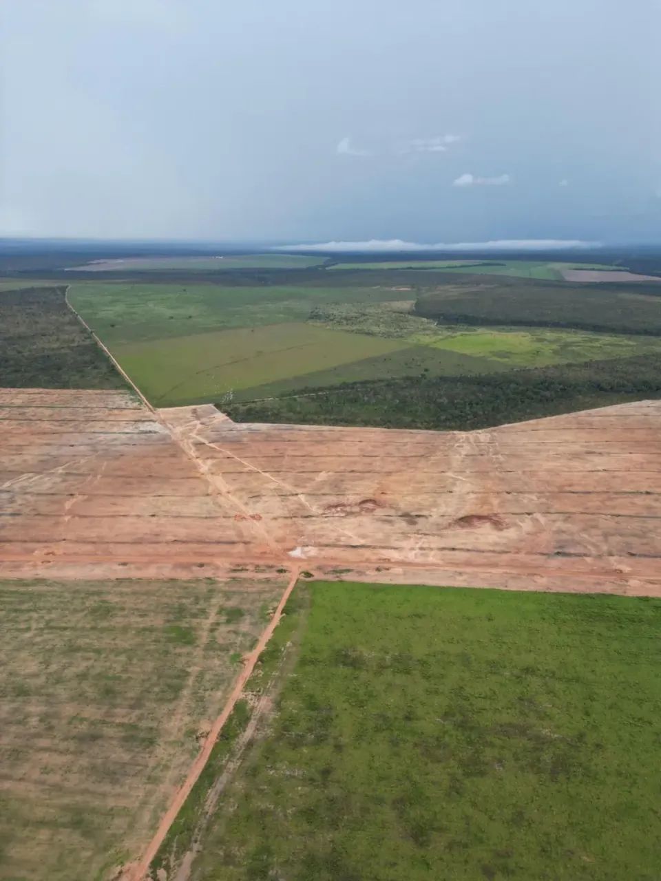 Fazenda a venda, no Tocantins 8 anos para pagar! - Foto 4