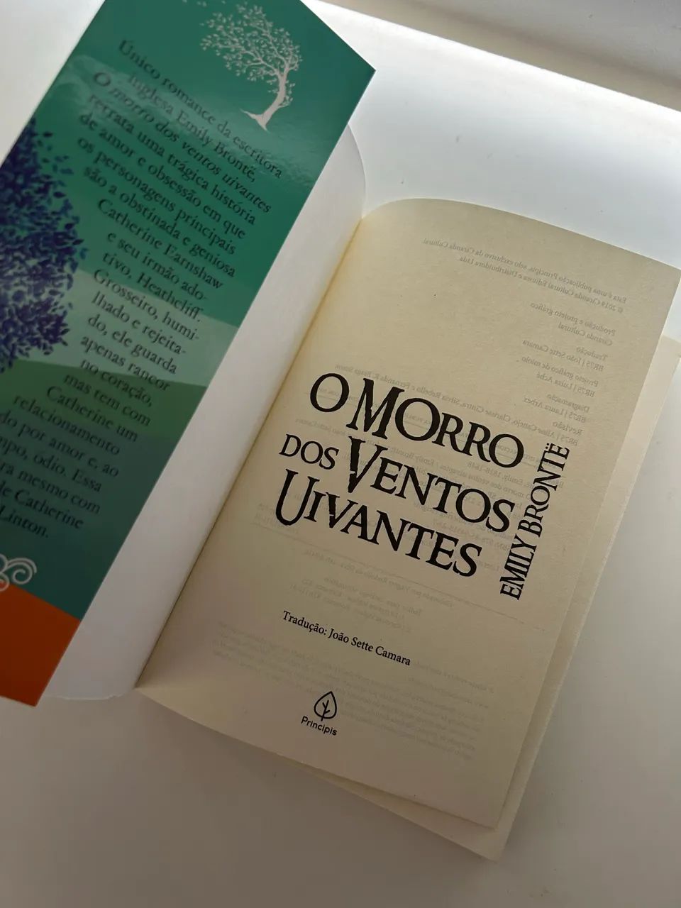 livro Morro dos Ventos Uivantes - Foto 3