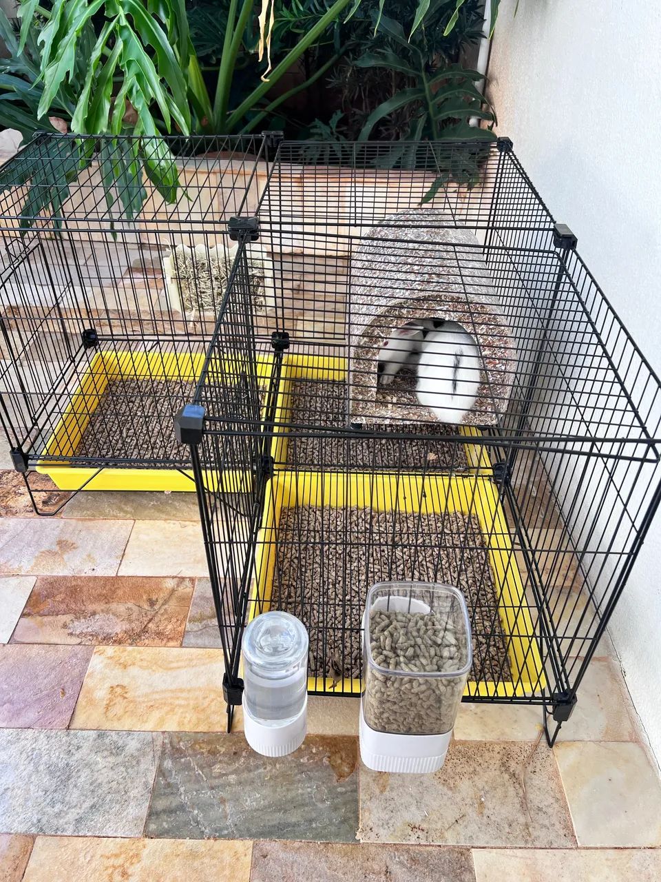 Gaiola/viveiro coelho hamster chinchila - Foto 3