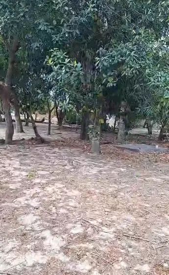 Foto - São Luís - Bequimão