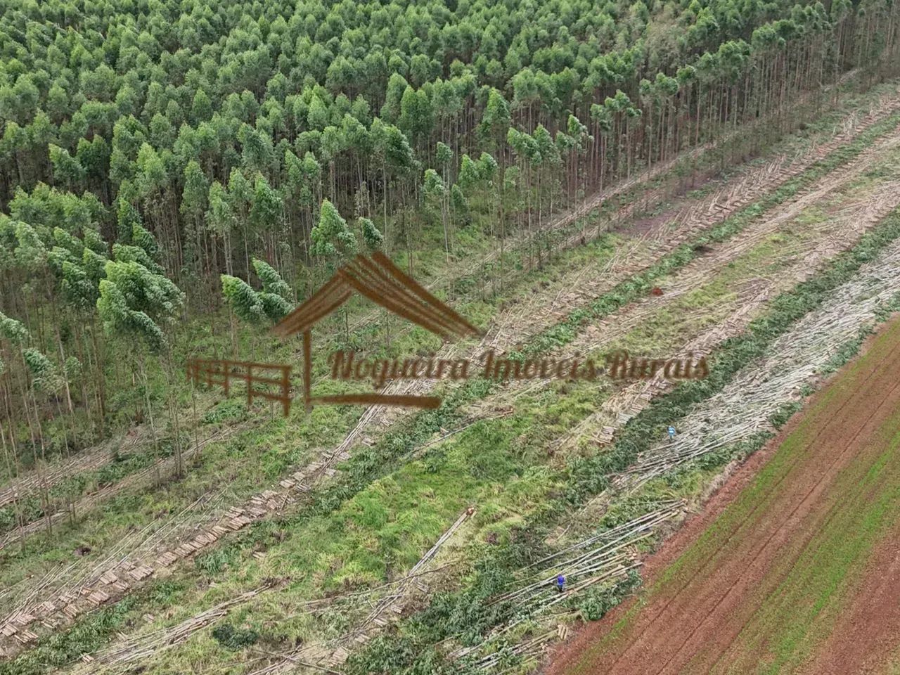 Sitio com 12 alqueires na região de Cesário Lange-SP - Foto 4