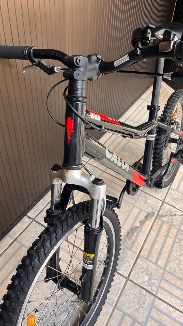 Bicicleta infantil  - Foto 2
