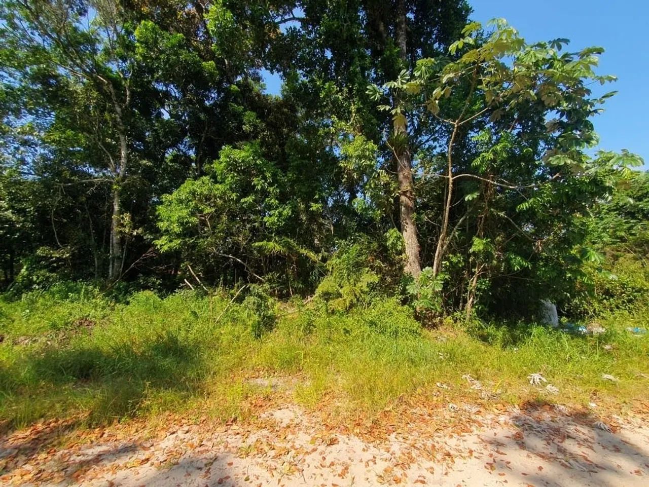 Lote / Terreno em Itapoá/SC no Brandalize