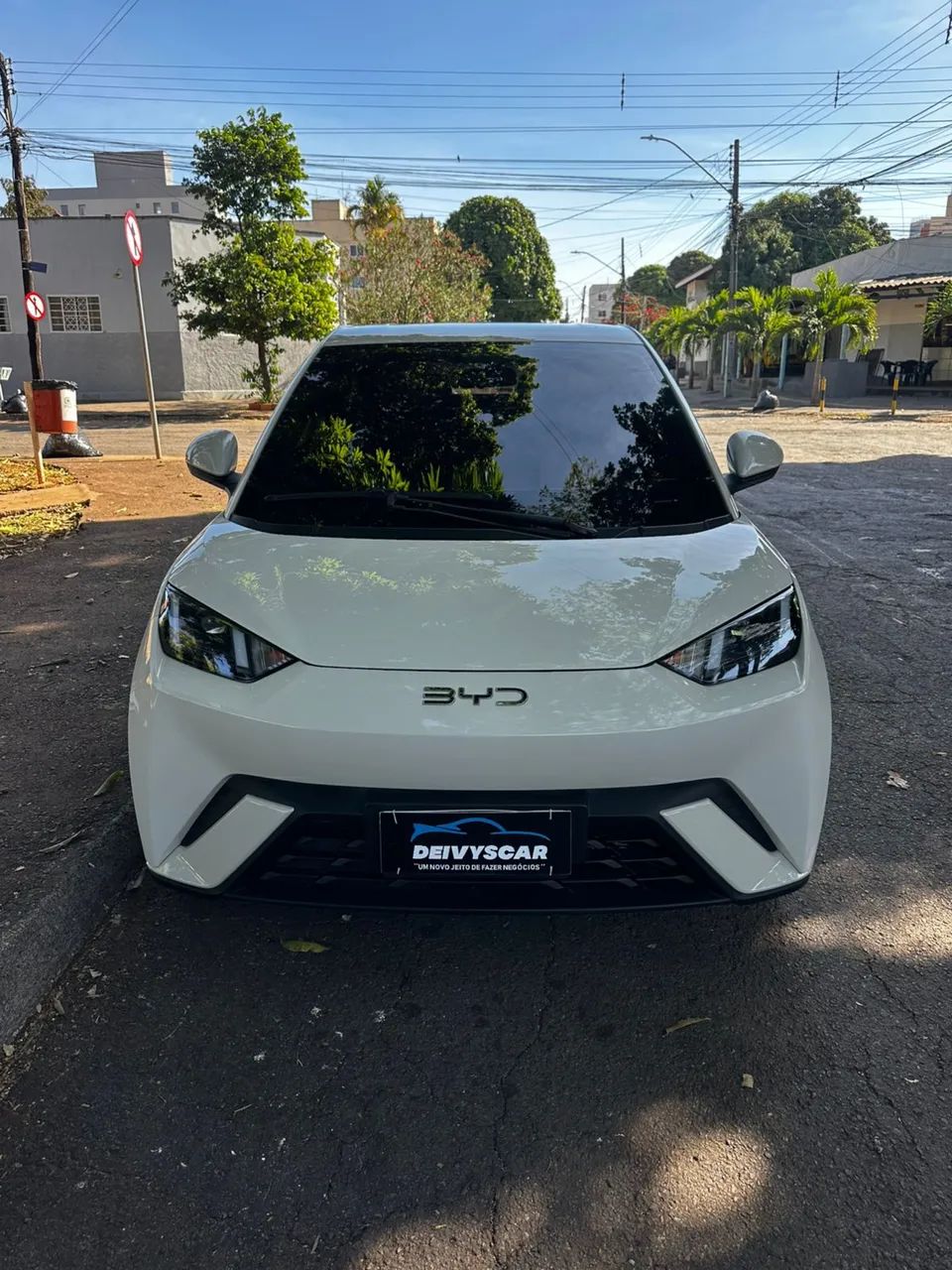 BYD Dolphin Mini (Elétrico) 2025 - Foto 3