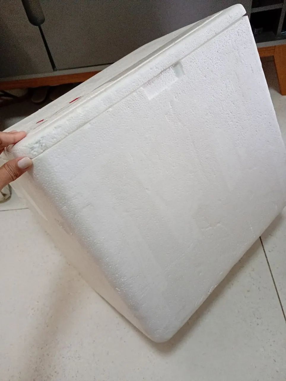 Caixa de isopor 46x31