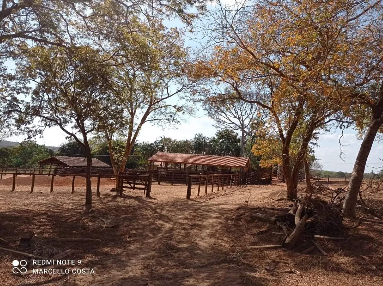 Imóvel rural no Setor Central em Baliza - Foto 5