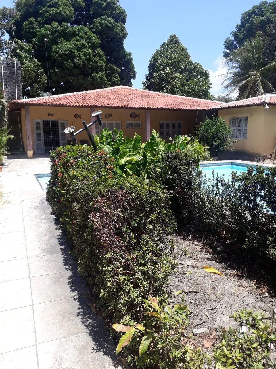 Lote Murado na Estrada do Fio - 5.837m2 REF: 3816 - Foto 3