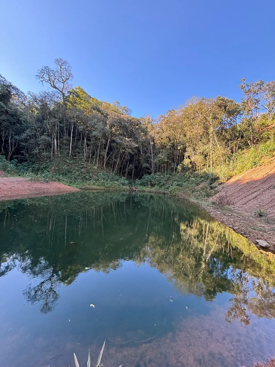 Área para formar chácara  - Foto 5