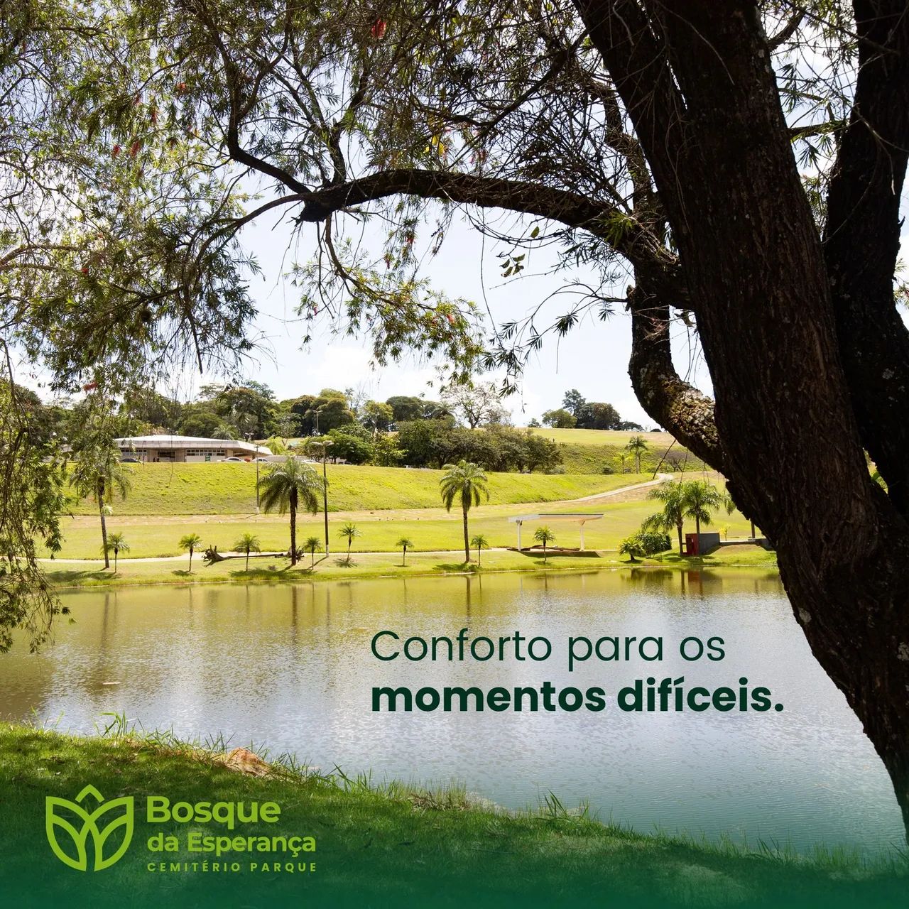 VENDA DE JAZIGO - BOSQUE DA ESPERANÇA - Foto 4