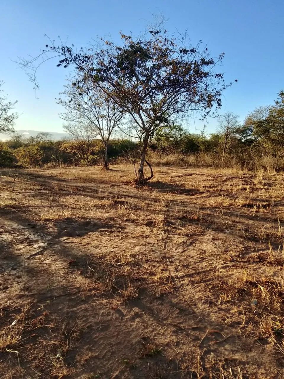 Chácaras  - Foto 4