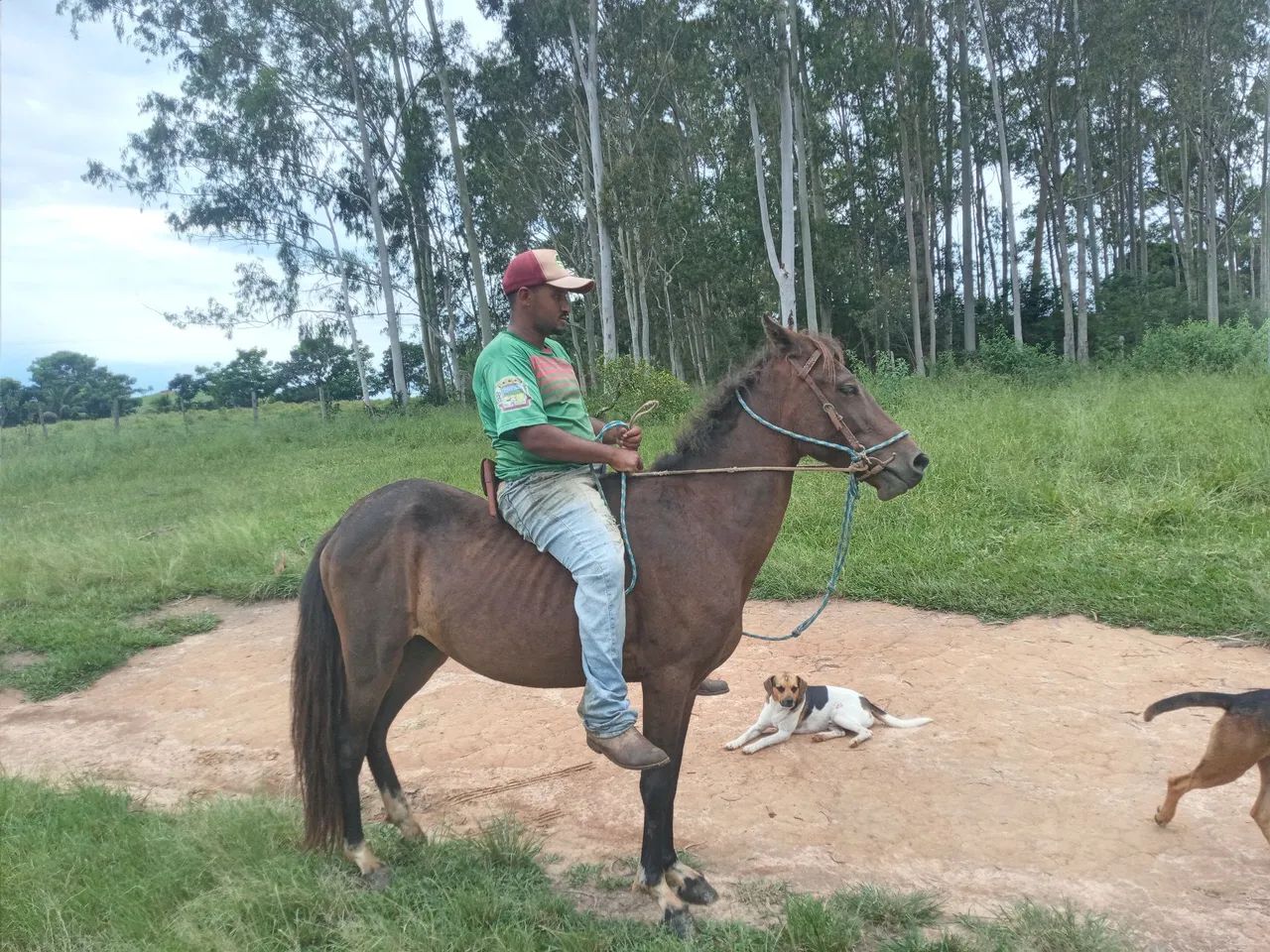 Vendo ou troco egua - Foto 2