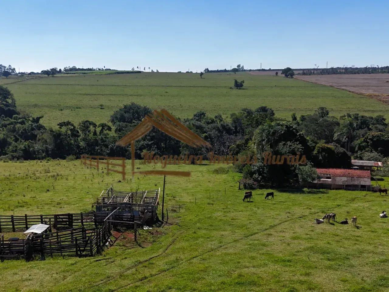 Sitio a venda com 6,4 alqueires em Avaré-SP - Foto 2