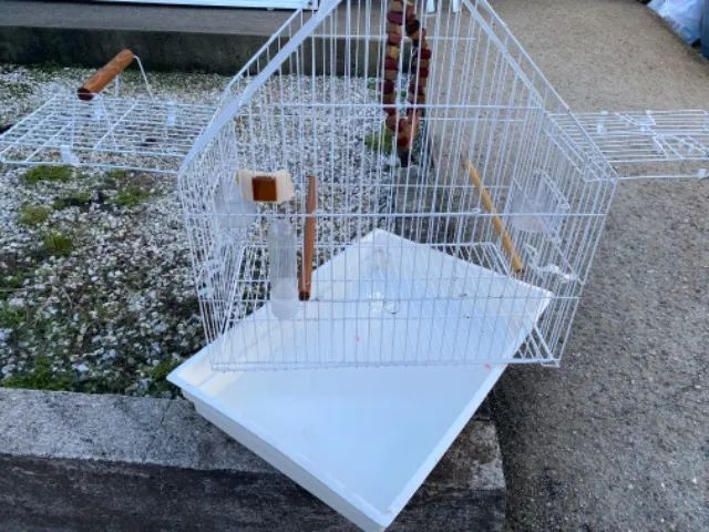 Gaiola para calopsita, papagaio? - Foto 4