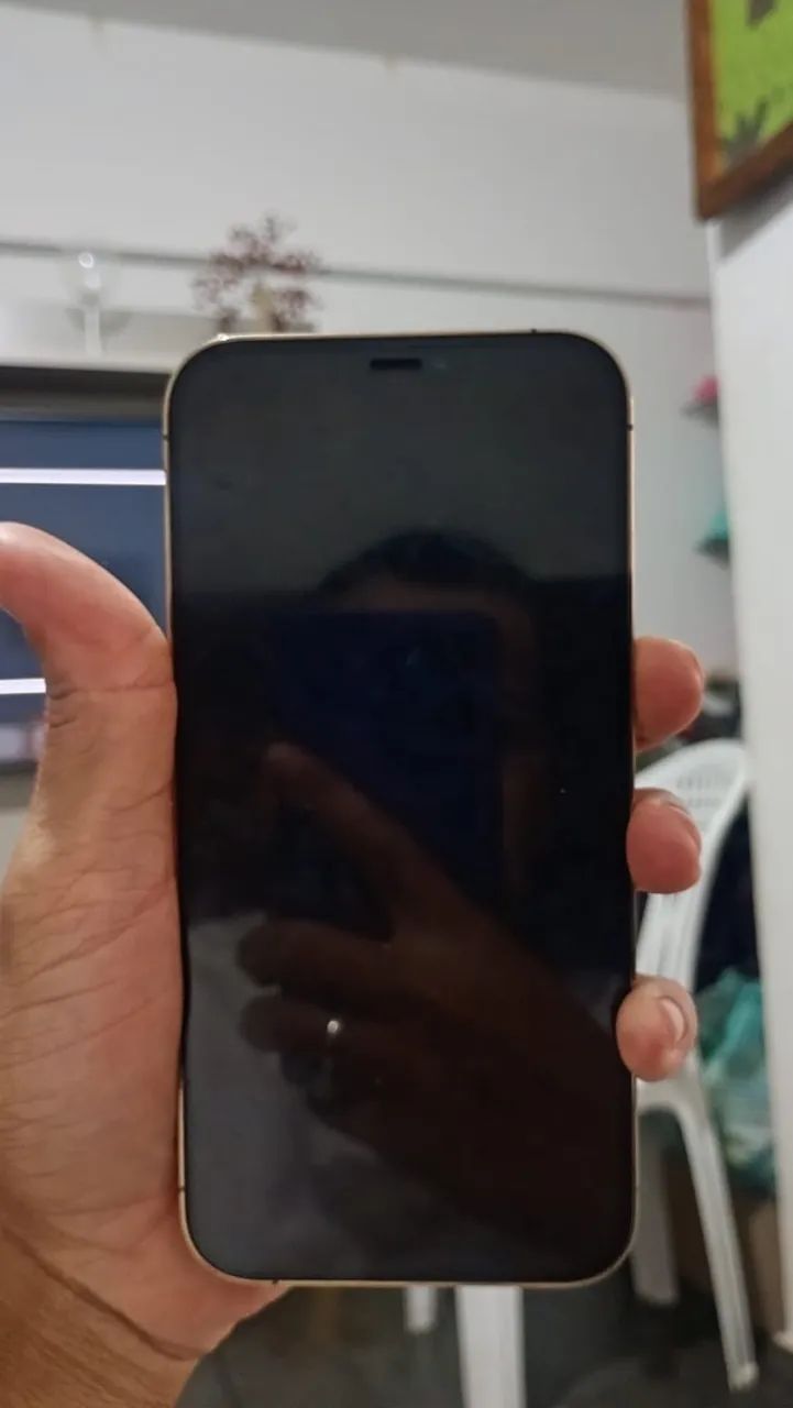 iPhone 12 Pro Max  - Foto 2