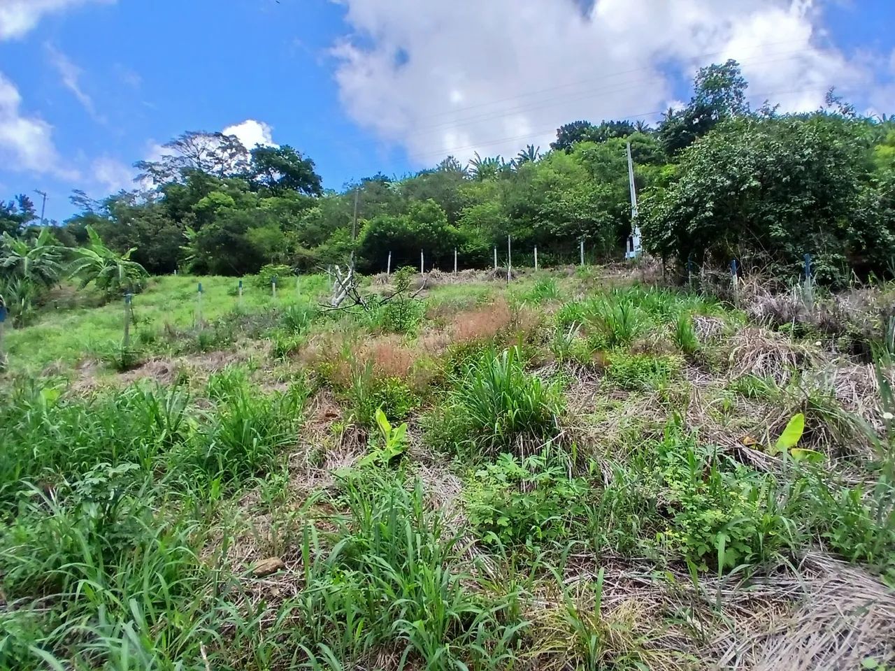 Lote em Solidão 345 m² - Foto 2
